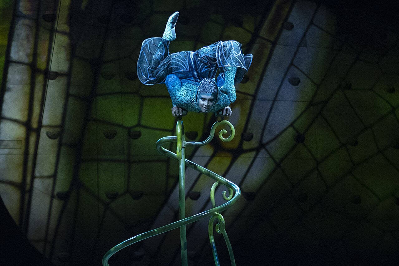В Праге выступят лучшие в мире акробаты Cirque du Soleil