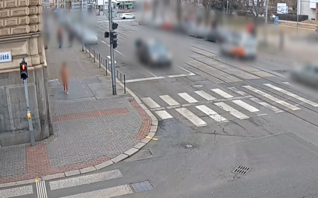 Видео: обнаженная женщина бегала на морозе в центре Брно