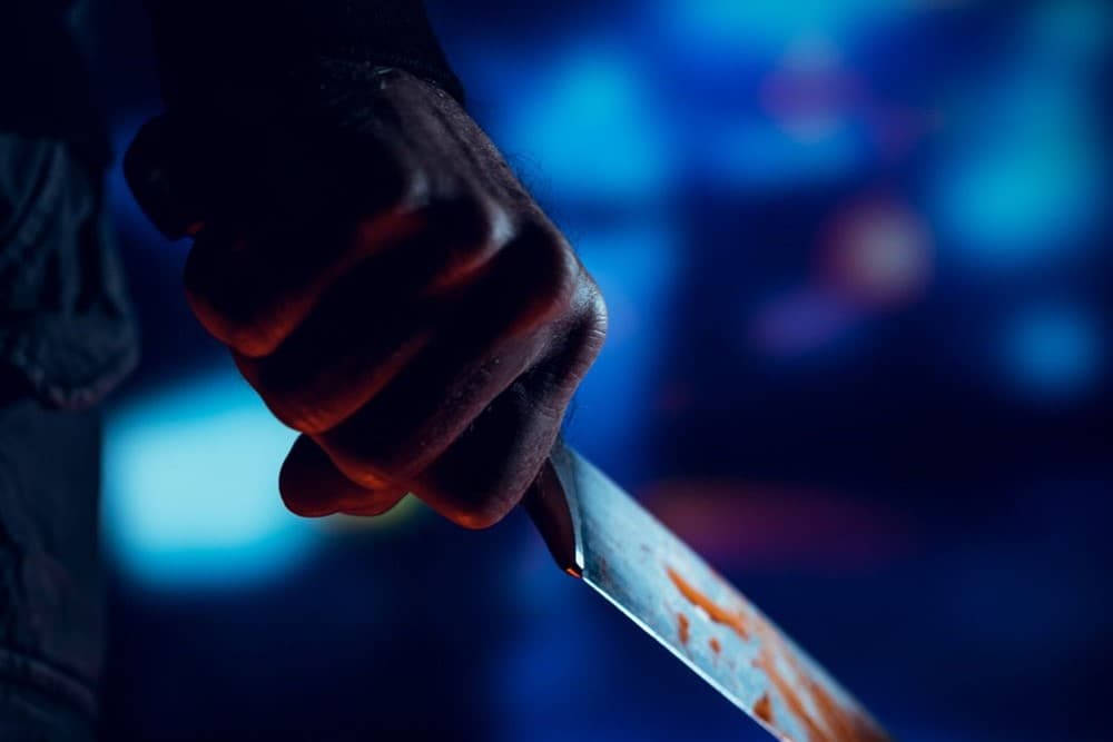 В Брно мужчина с ножом напал на улице на школьницу и ранил ее