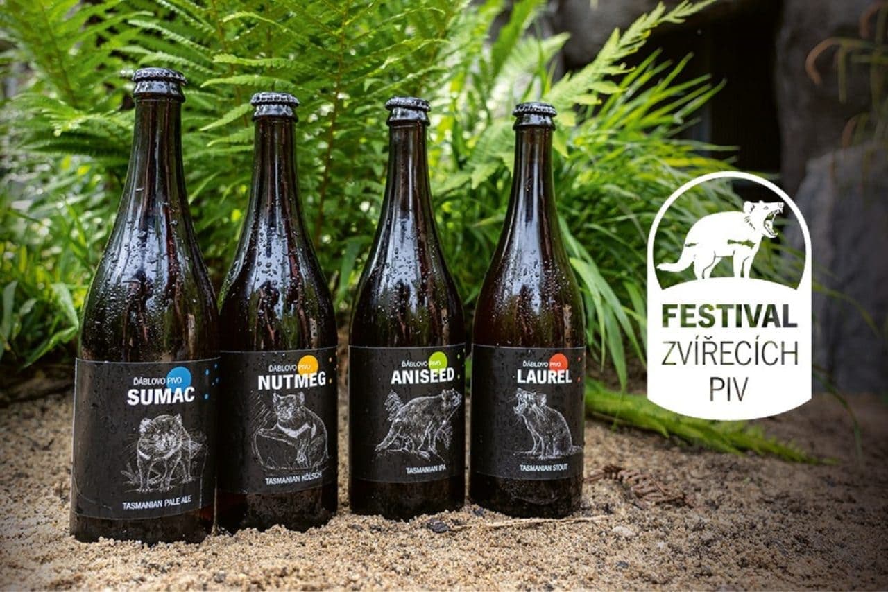 13 мая в Праге пройдет благотворительный фестиваль пива