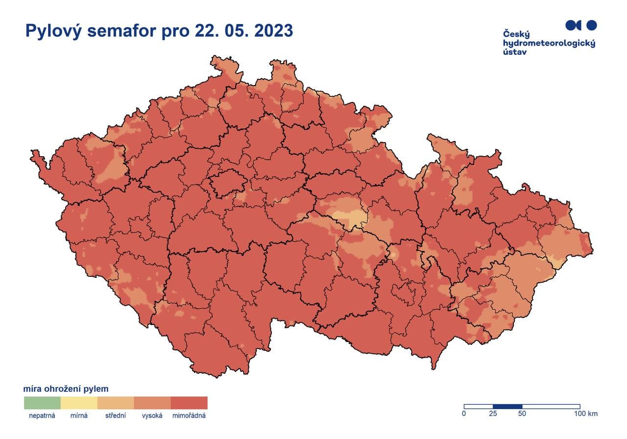 Уровень пыльцевого светофора в большинстве районов Чехии находится на максимальном уровне