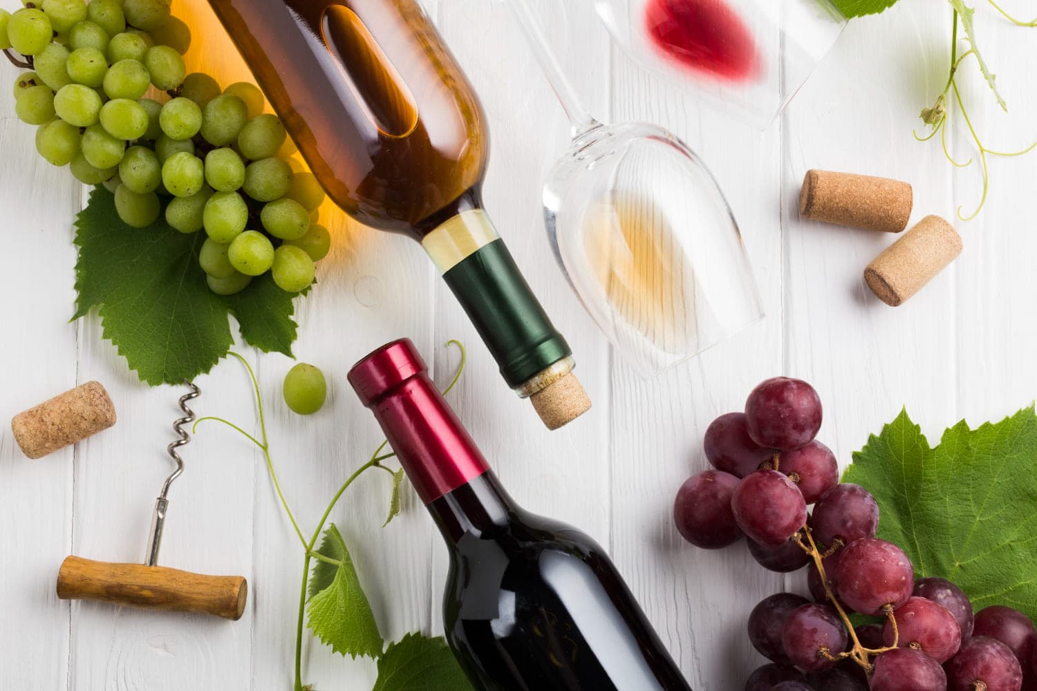 Vinobraní 2023: где отметить праздник сбора винограда в Чехии