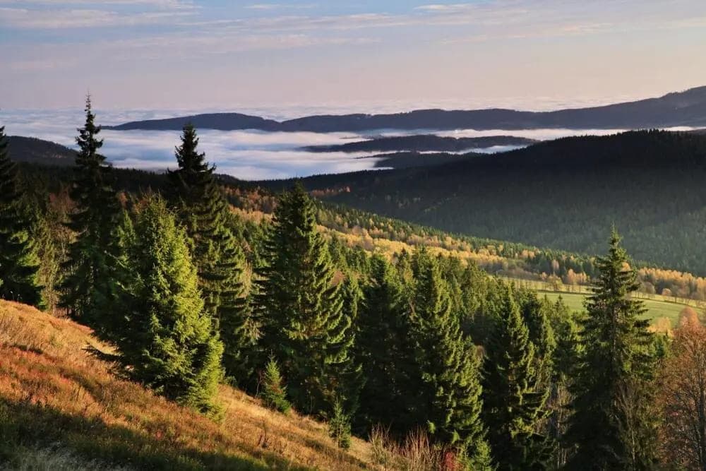 Природные чудеса Чехии: Чешский Гранд-Каньон, Шумава и Заповедник Адршпах