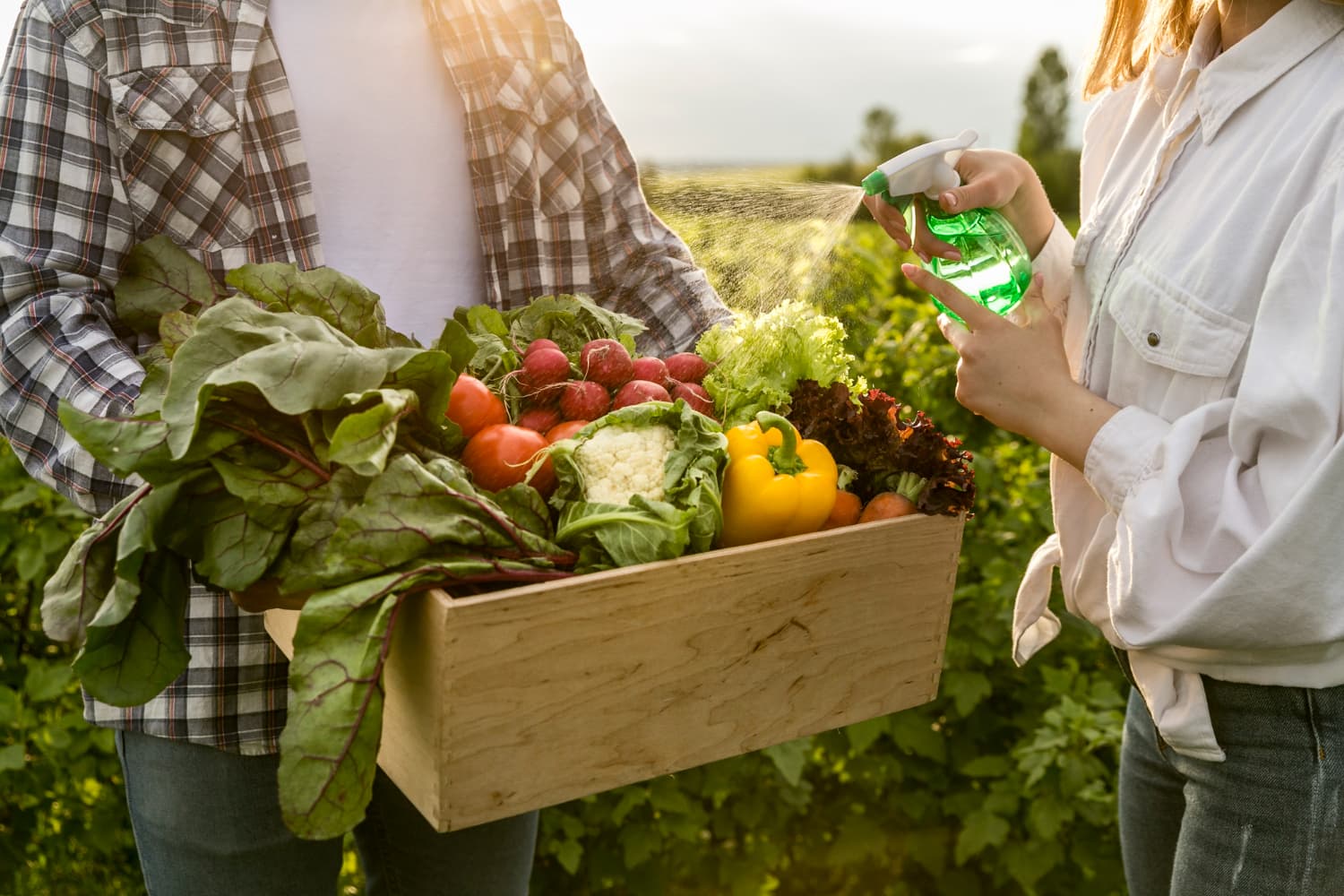 7 октября в Праге будет организован фермерский рынок с органическими продуктами