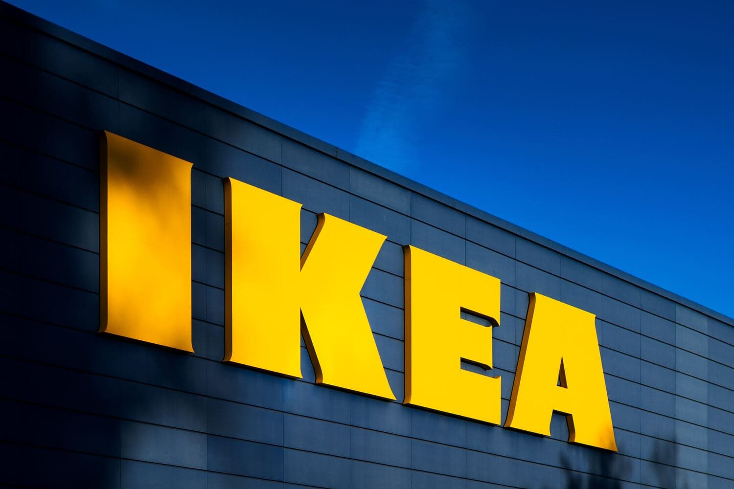 Экс-главу пражского отделения полиции поймали при краже в IKEA