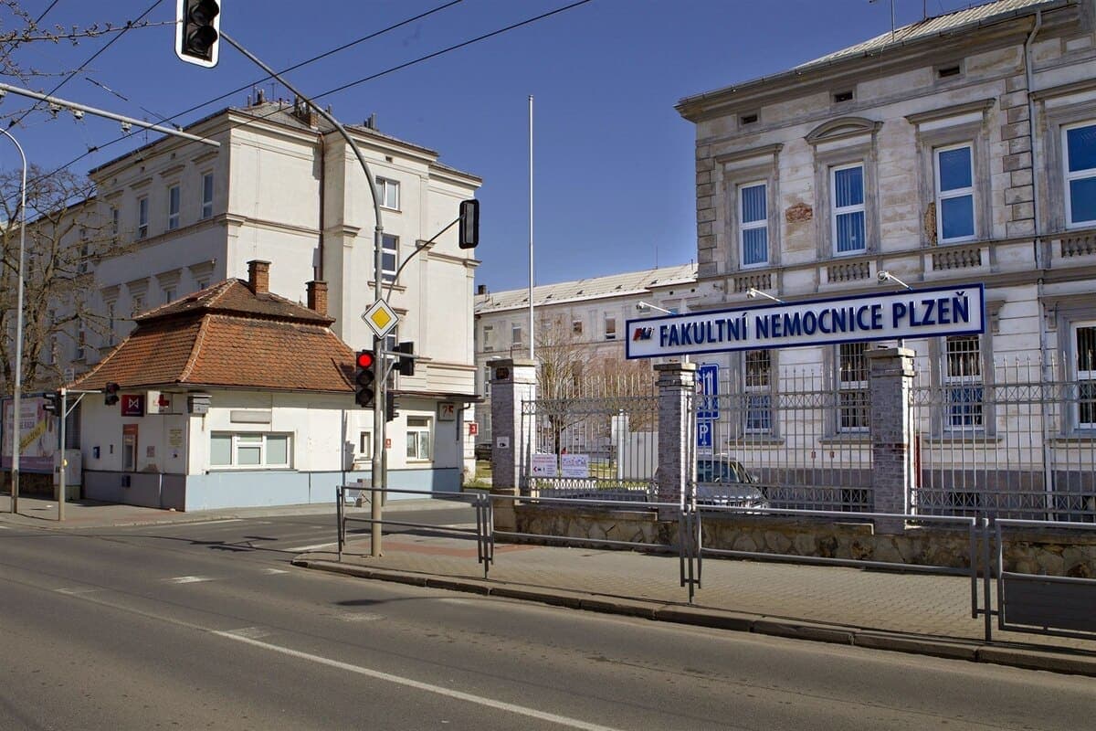 СМИ: в Пльзеньском крае мужчина избил женщину, а потом засунул ей в гениталии петарду и поджег